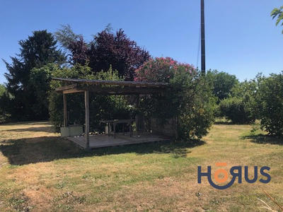 Viager - Maison - 517 m² - 16 pièces