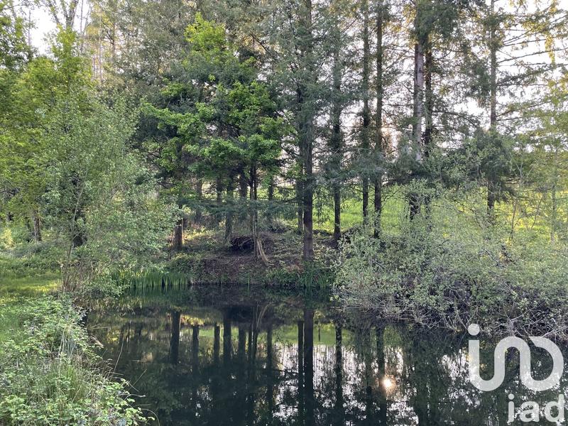 Terrain - 54 604 m²