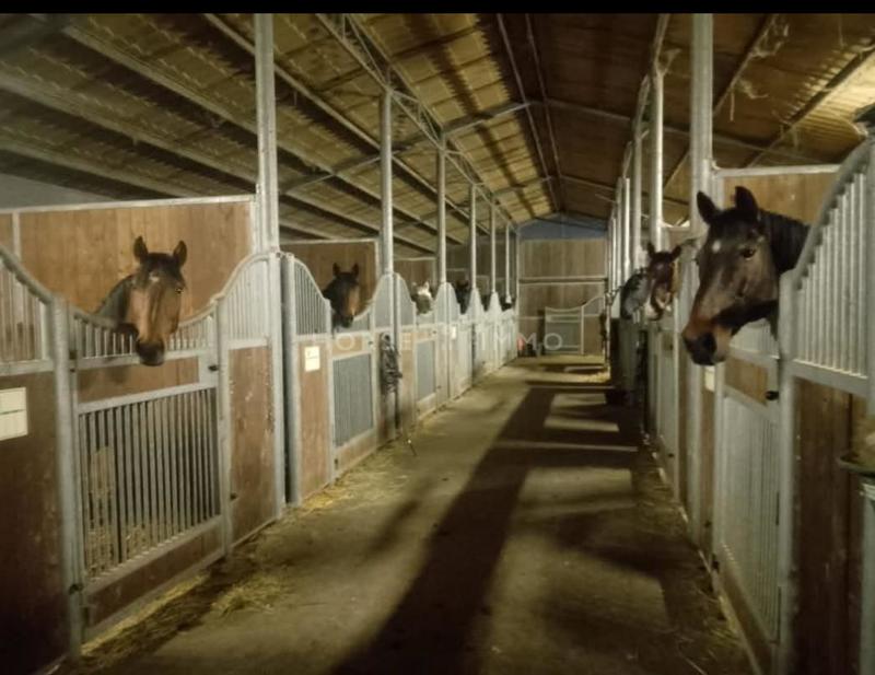 Gîte - 270 m² - 15 pièces