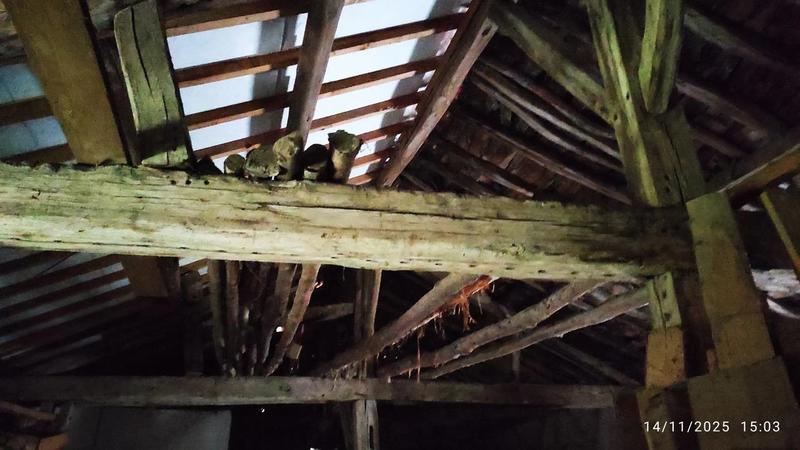 Maison de village - 160 m² - 7 pièces