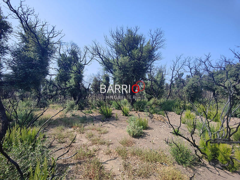 Terrain agricole - 8 000 m²