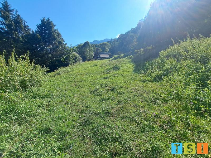 Terrain constructible - 2 658 m²