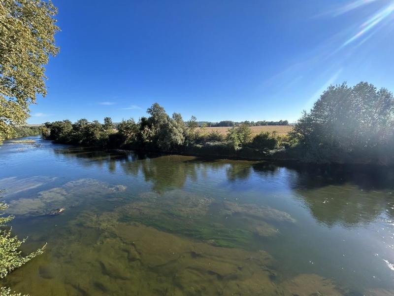 Château - 1 000 m² - 10 pièces