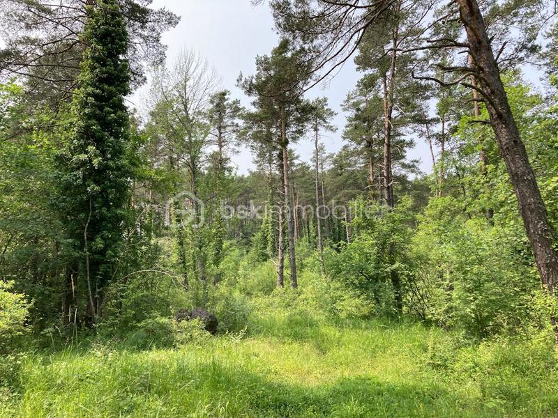 Terrain - 72 330 m²