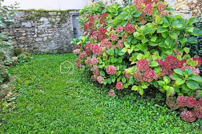 Maison en pierre - 100 m² - 9 pièces