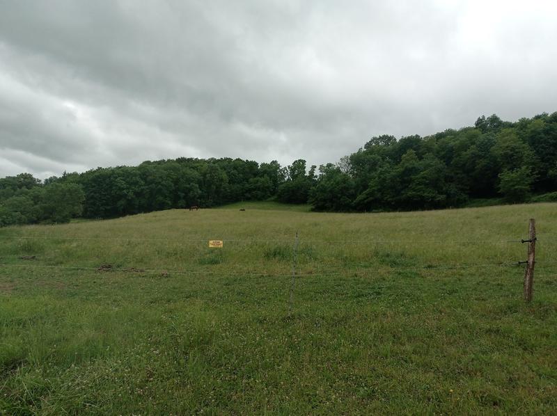 Terrain - 22 715 m²