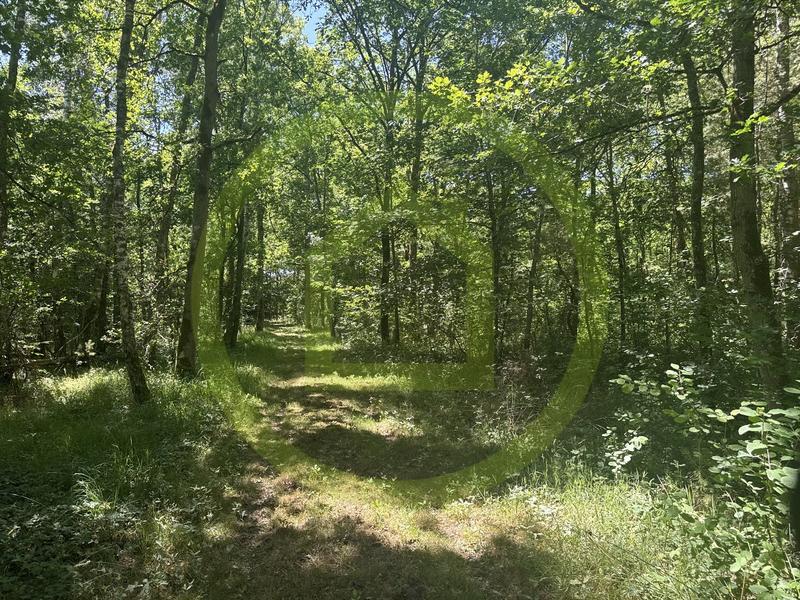 Propriété - 143 m² - 6 pièces