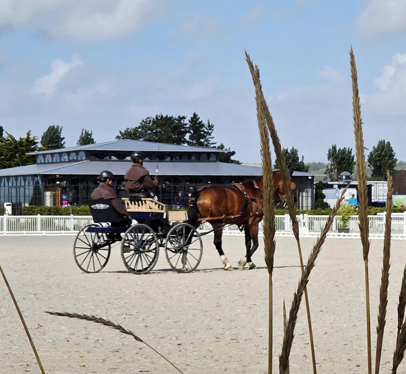 Appartement - 30 m² - 2 pièces