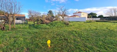 Terrain constructible - 1 136 m²