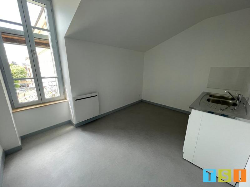 Appartement ancien - 50 m² - 2 pièces