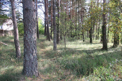 Terrain - 2 500 m²