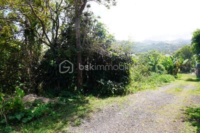 Terrain - 1 051 m²