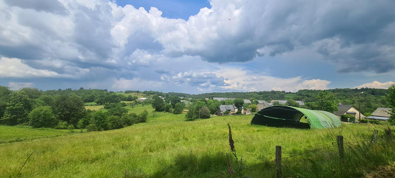 Terrain - 11 655 m²