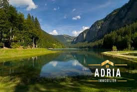 Appartement - 54 m² - 2 pièces