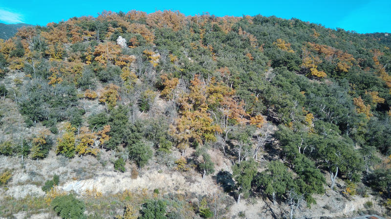 Terrain - 18 305 m²