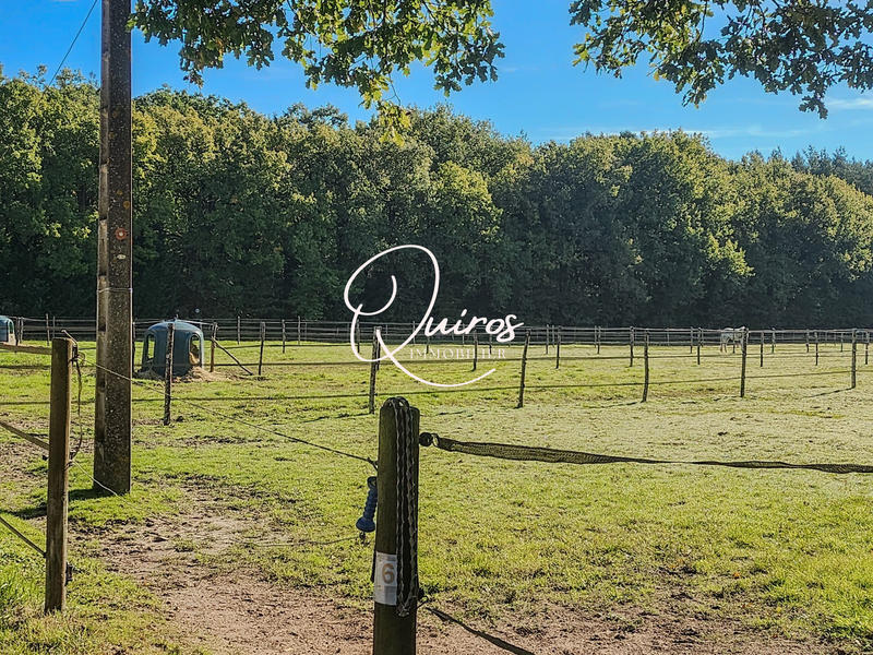 Maison - 300 m² - 10 pièces