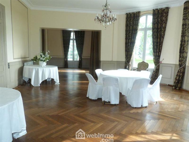 Château - 850 m² - 17 pièces