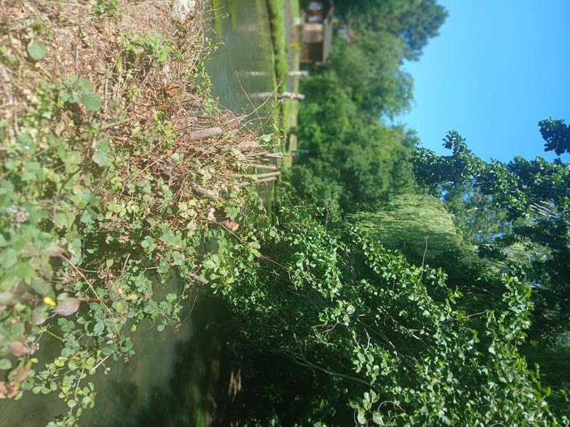 Maison de ville - 91 m² - 4 pièces