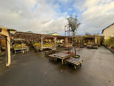 Local commercial - 1 000 m² - 5 pièces