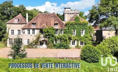 Château - 500 m² - 18 pièces