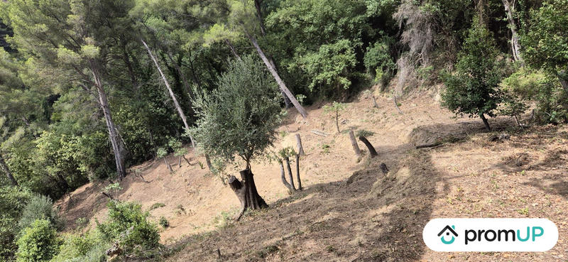 Terrain de loisirs - 2 048 m²