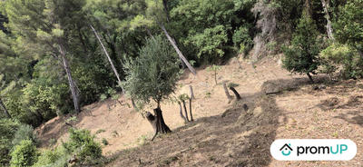 Terrain de loisirs - 2 048 m²