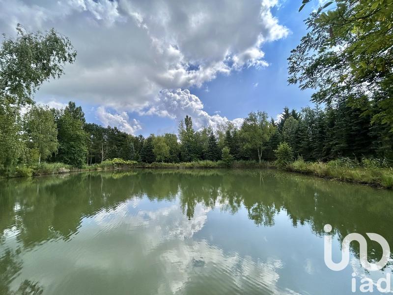 Terrain - 10 393 m²