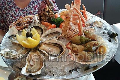 Fonds de commerce - Magasins - 50 m²