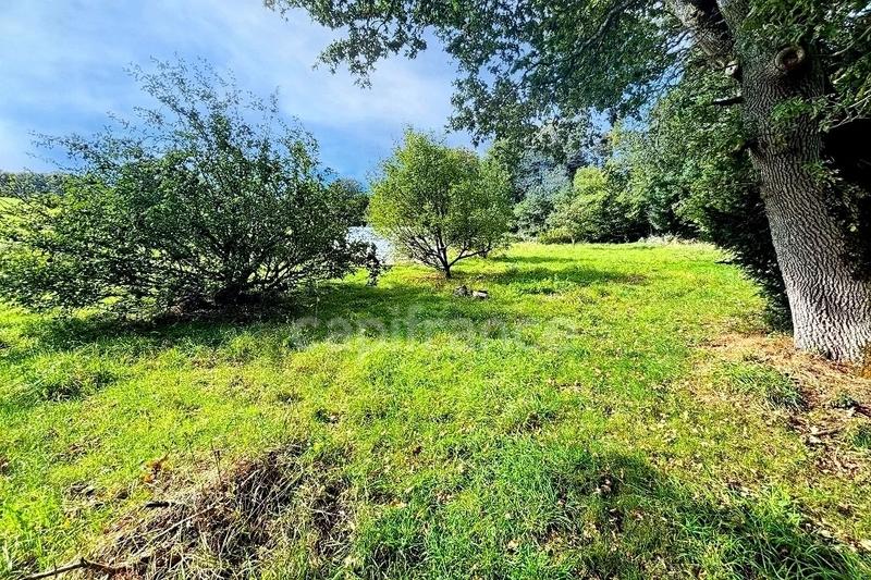 Maison en pierre - 110 m² - 5 pièces