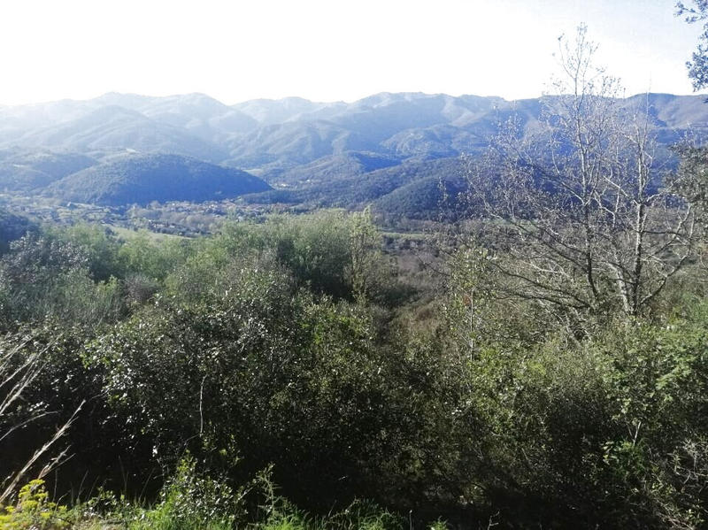 Terrain de loisirs - 17 646 m²