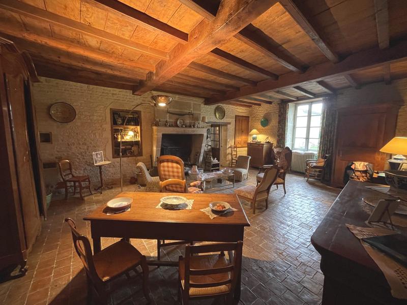 Maison ancienne - 725 m² - 12 pièces