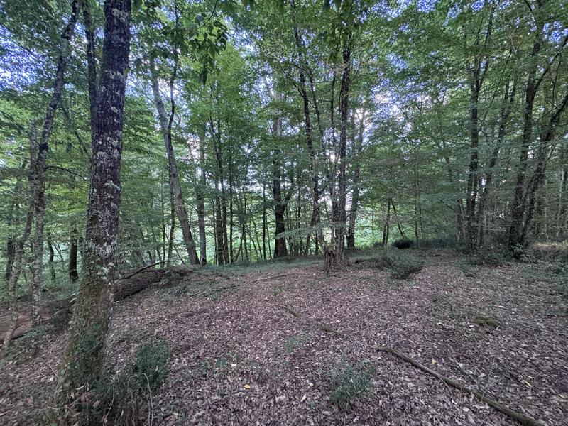 Terrain - 50 154 m²