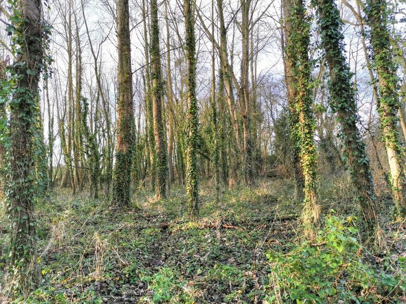 Terrain de loisirs - 14 000 m²