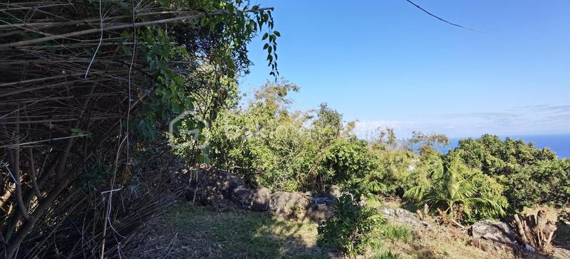 Terrain constructible - 704 m²