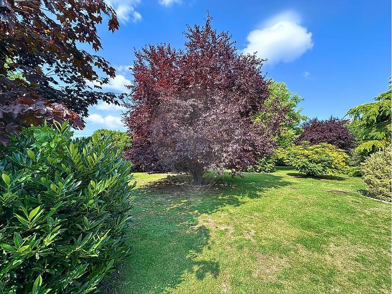 Demeure - 335 m² - 12 pièces