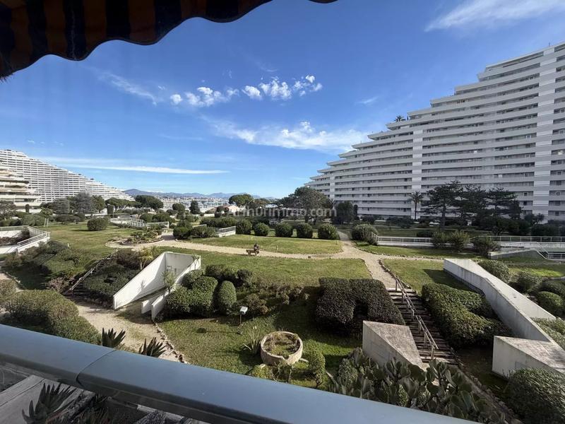 Appartement - 35 m² - 2 pièces