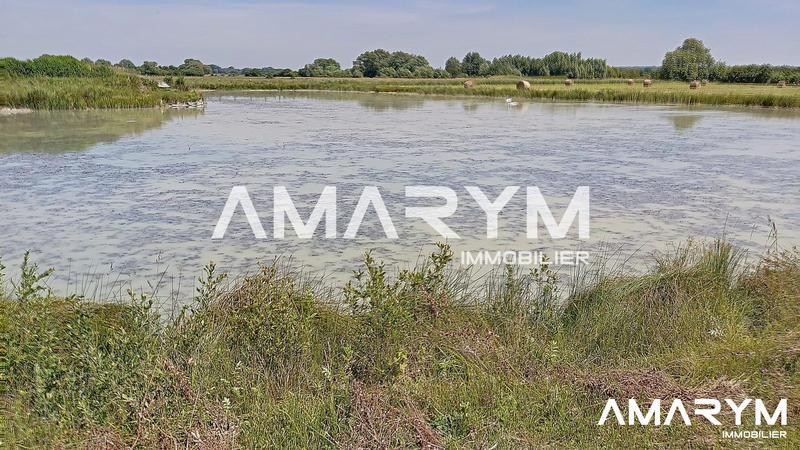 Terrain agricole - 7 245 m²