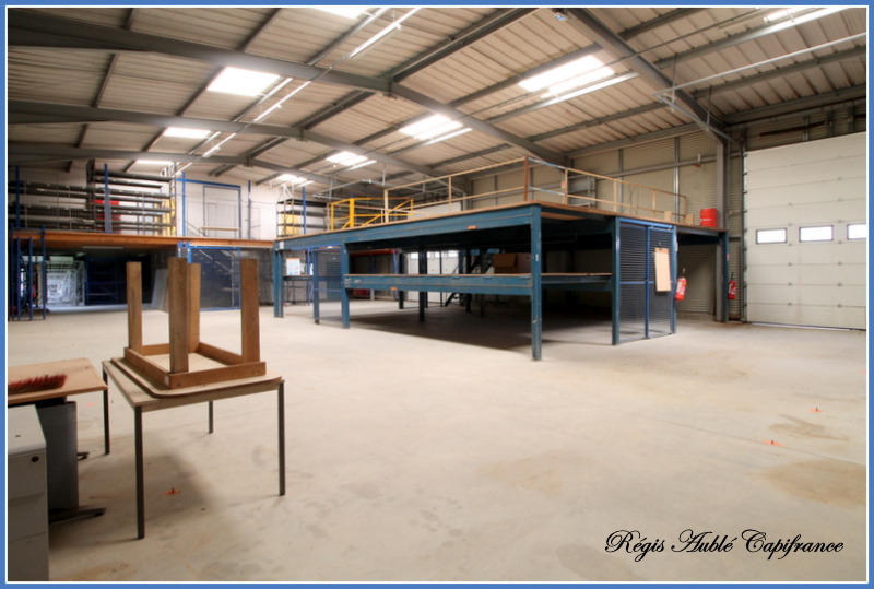 Entrepôt - 866 m² - 12 pièces