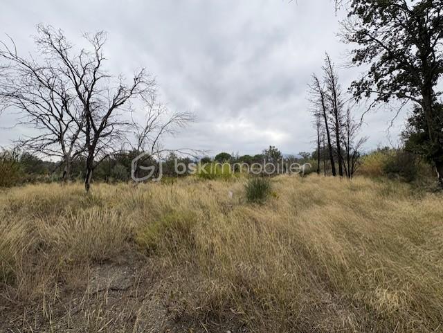 Terrain agricole - 1 590 m²