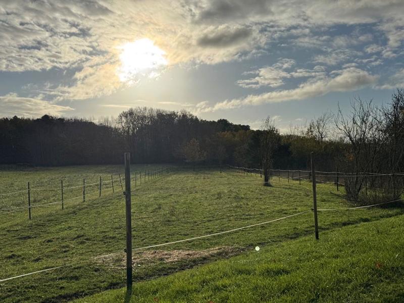 Maison - 205 m² - 6 pièces