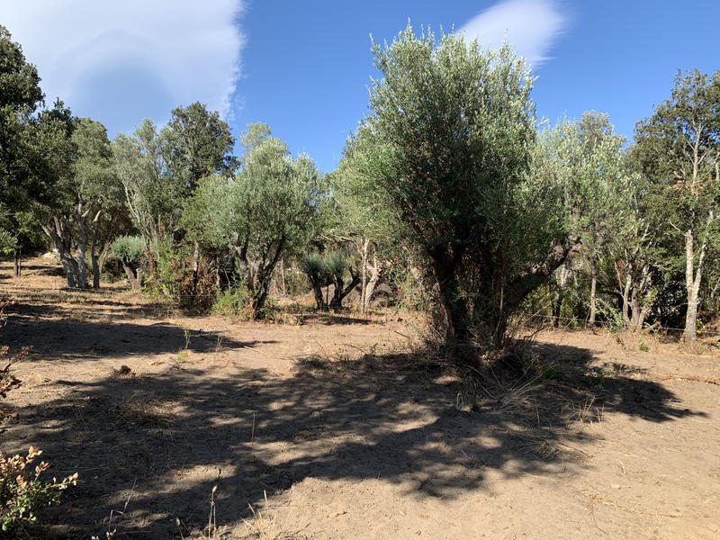 Villa - 85 m² - 4 pièces