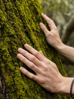 🌿 Journée Internationale des Forêts 🌿