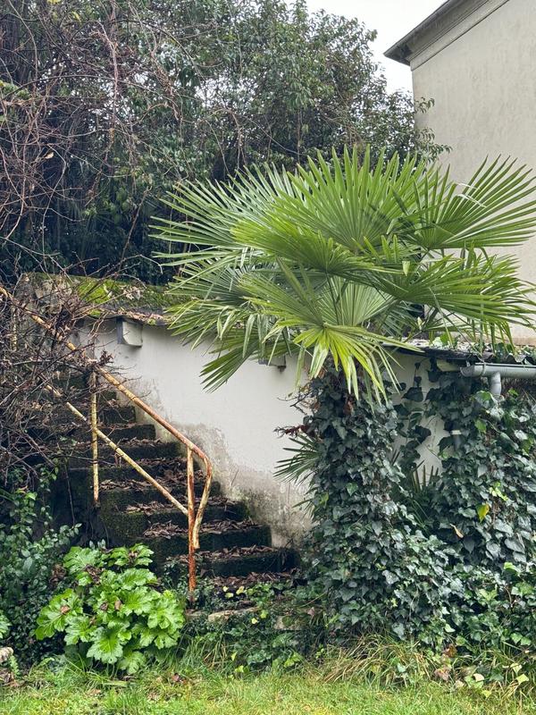 Maison de maîtres - 215 m² - 6 pièces