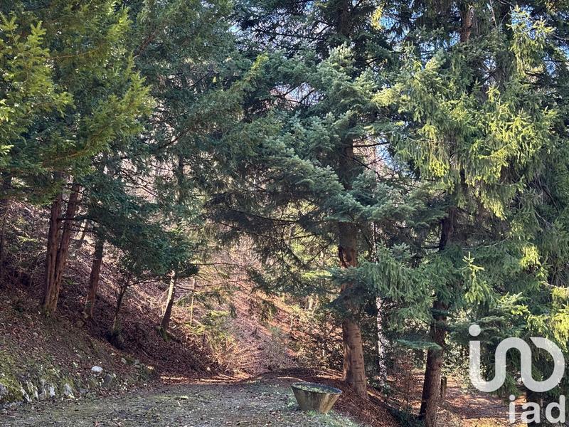 Châlet - 240 m² - 10 pièces