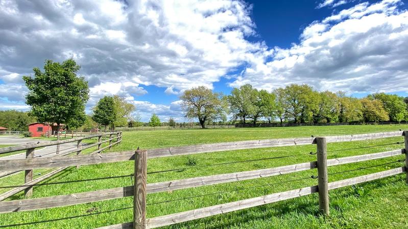 Haras - 500 m² - 13 pièces