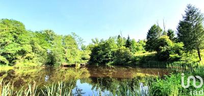 Terrain - 12 820 m²