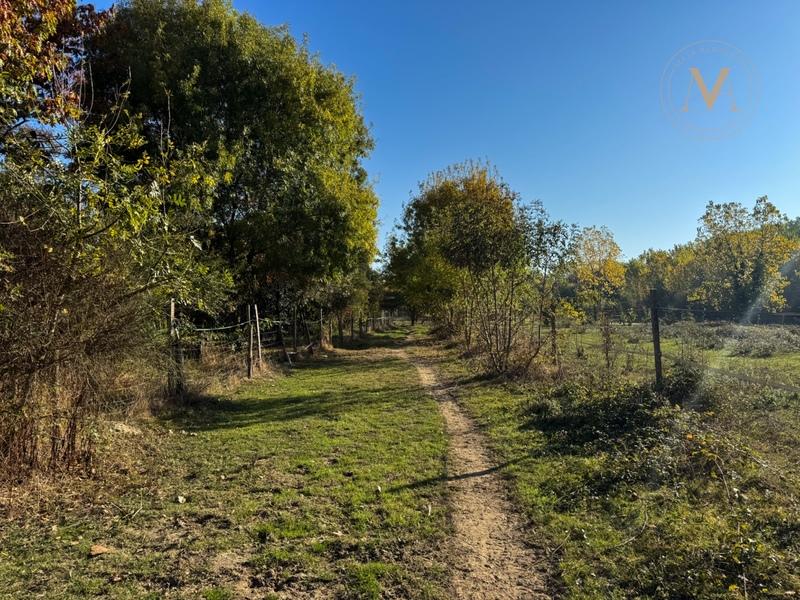 Maison - 273 m² - 7 pièces