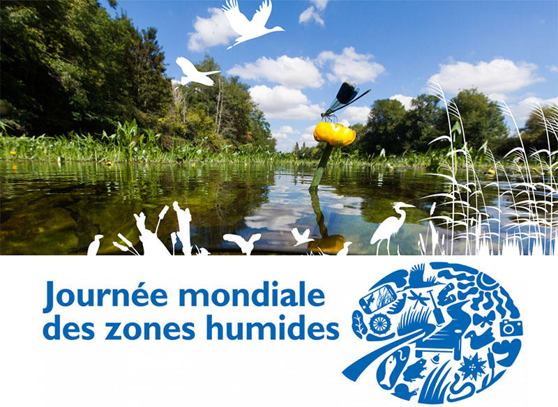 Exposition "Tressage des plantes"