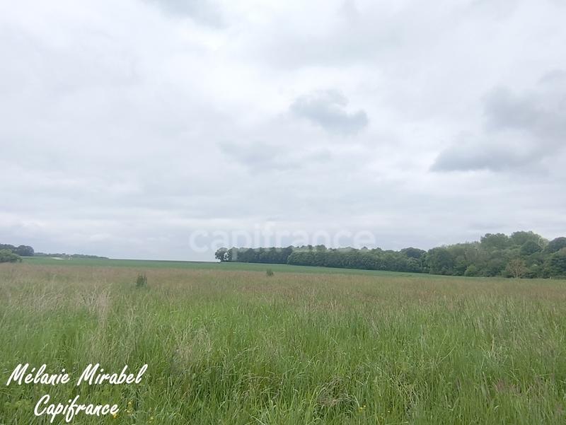 Terrain constructible - 1 115 m²