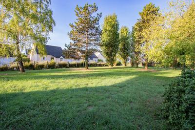 Terrain - 659 m²